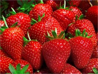 fresas 1 kg